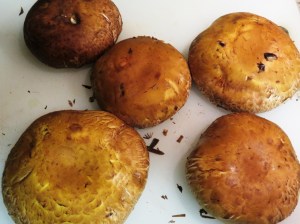 ???????????????????????????????