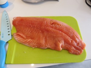 hamsalmon1 (640x480)