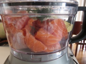 hamsalmon4 (640x480)