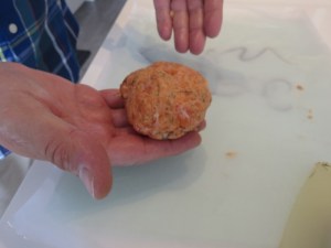 hamsalmon5 (640x480)